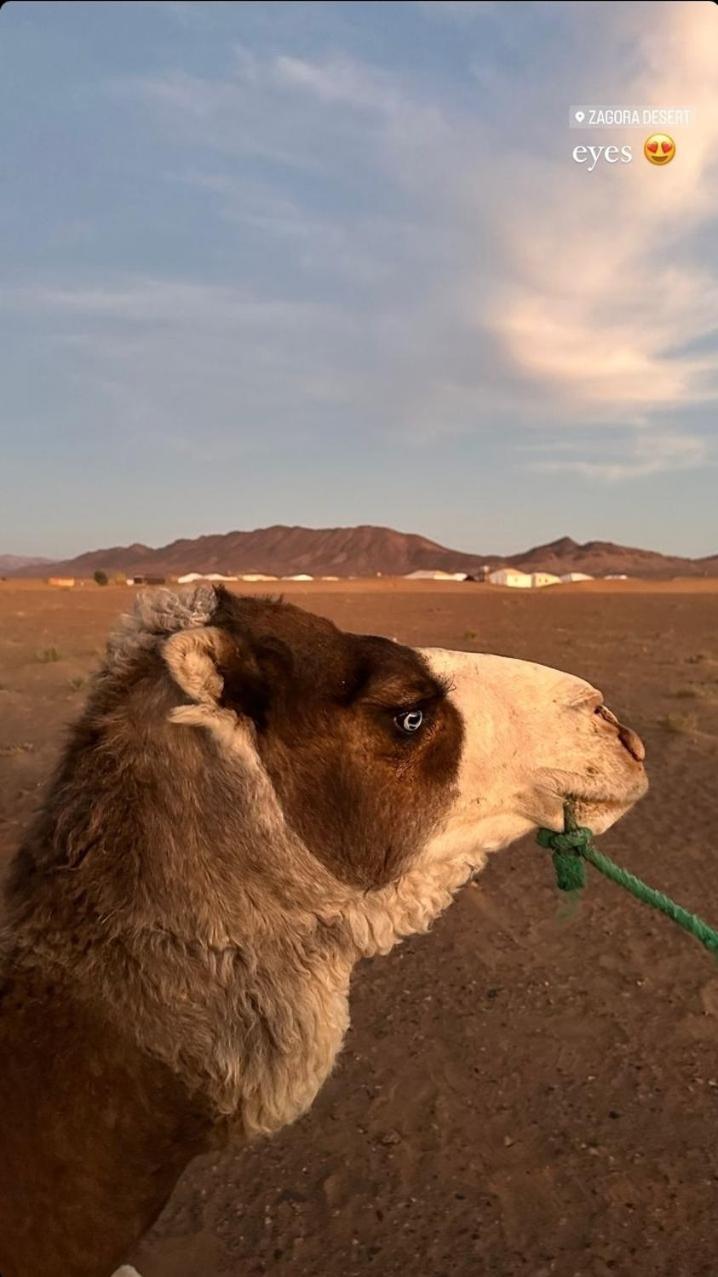 Bivouac Zagora Hotel ภายนอก รูปภาพ